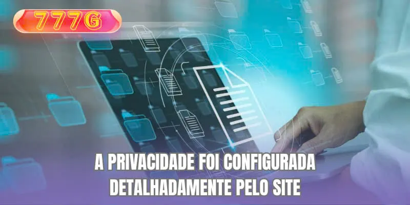 A Privacidade foi configurada detalhadamente pelo site